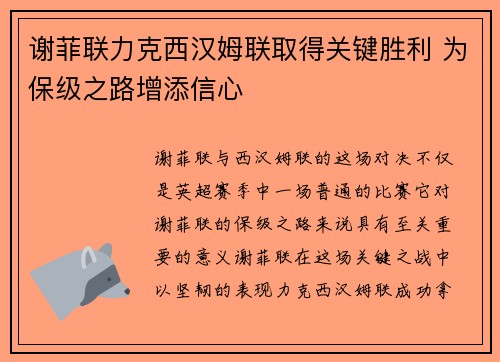 谢菲联力克西汉姆联取得关键胜利 为保级之路增添信心