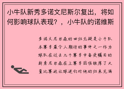 小牛队新秀多诺文尼斯尔复出，将如何影响球队表现？，小牛队的诺维斯基